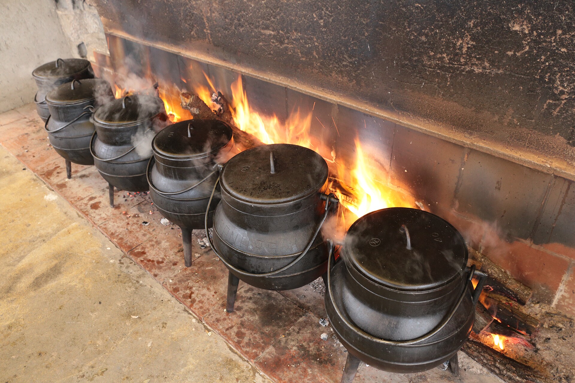 Chanfana foi rainha em Meimão