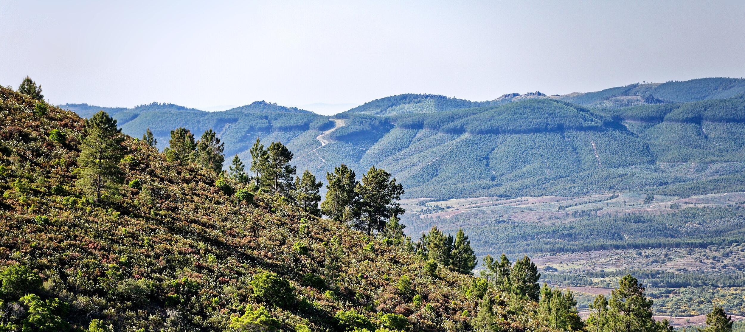 Serra da Malcata
