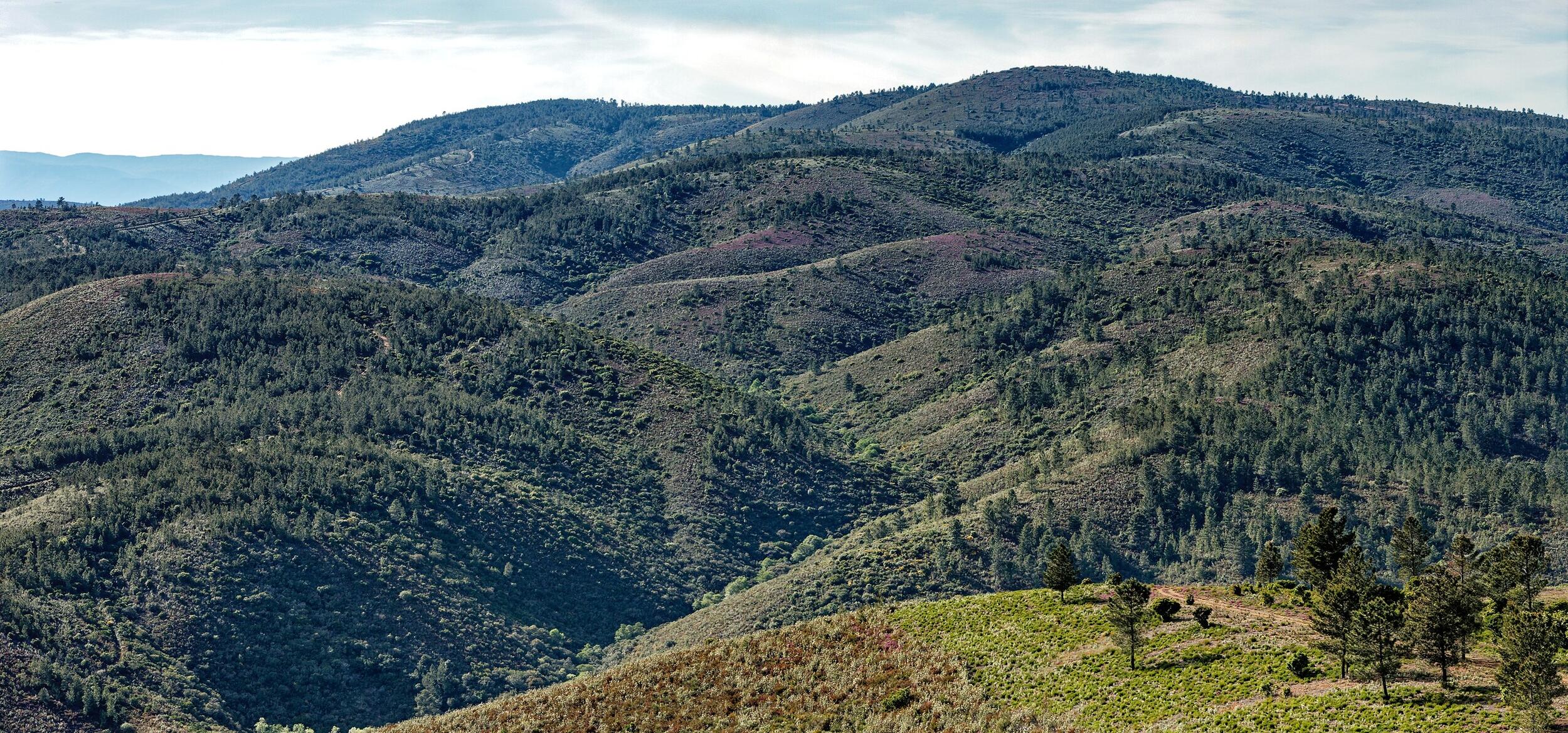 Serra da Malcata