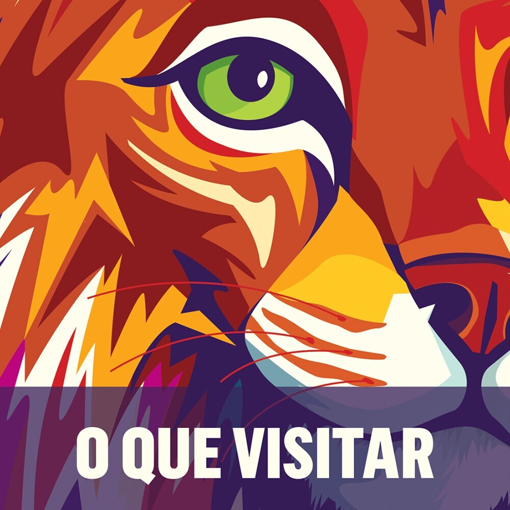 O que Visitar