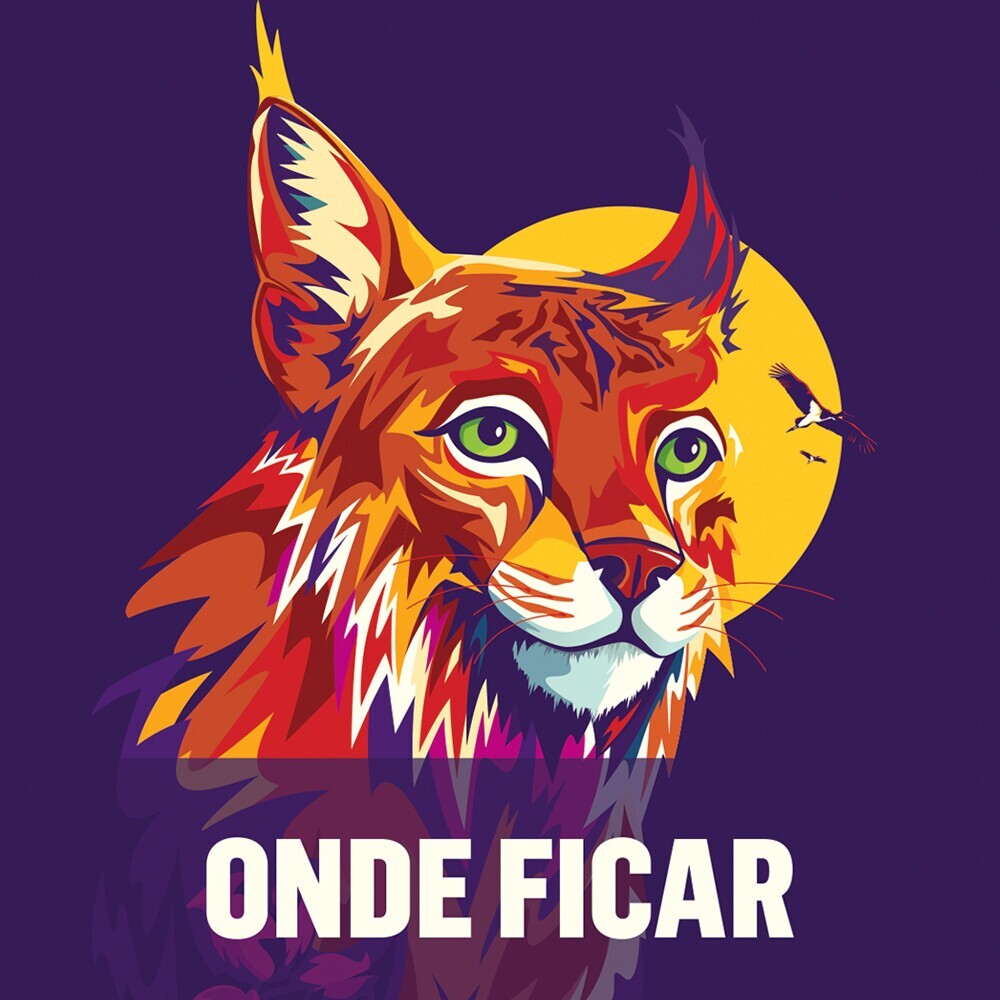 Onde ficar